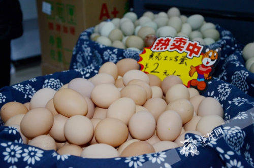 江北華新街鄉(xiāng)村振興創(chuàng)新創(chuàng)業(yè)園啟航，初級農(nóng)產(chǎn)品升級迎來新機遇