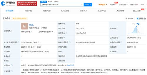攜程成立信息技術公司 拓展企業管理與咨詢服務新藍圖